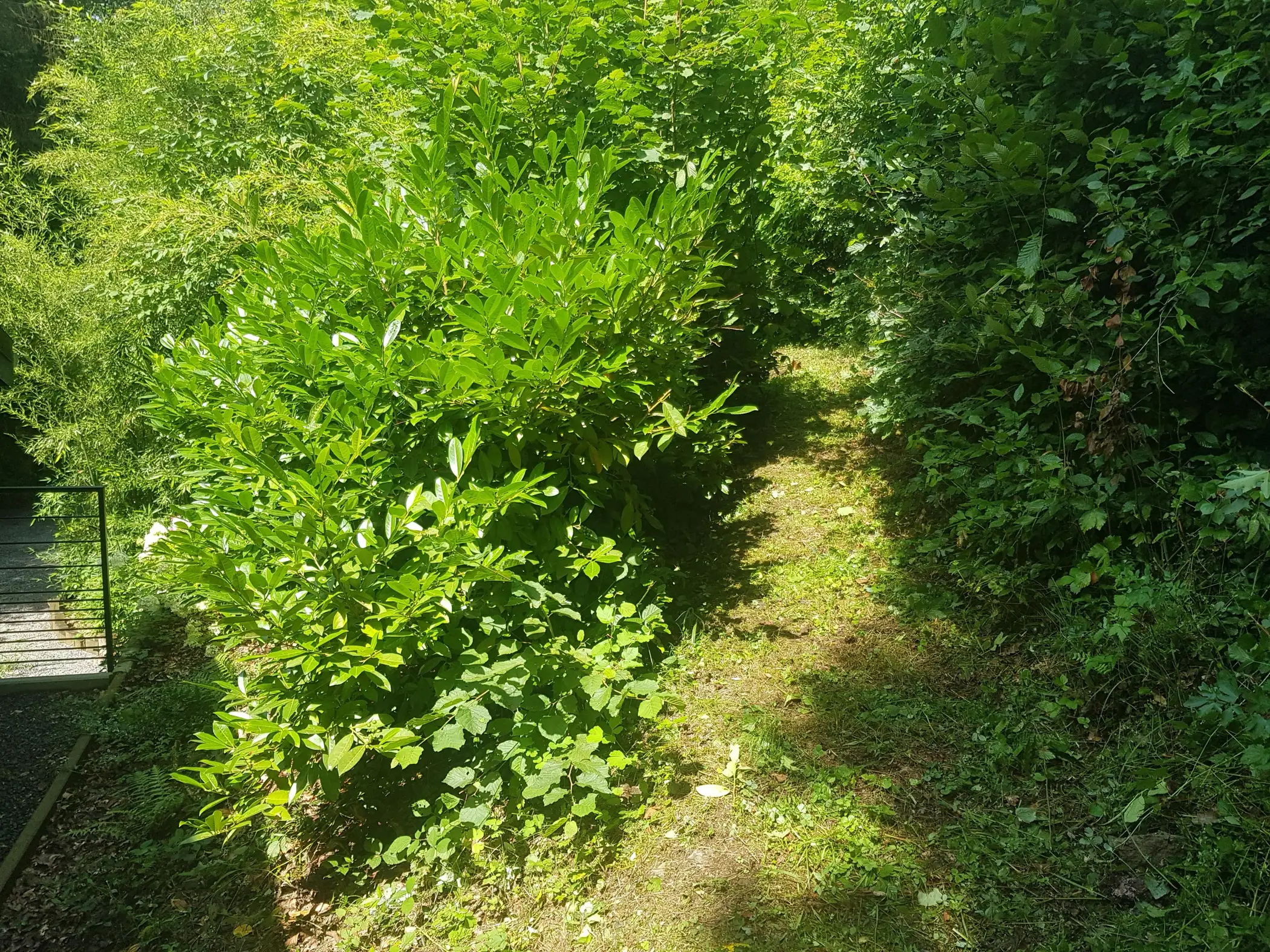 Cottage for 4 people in Erezée Au Chalet de Mélines